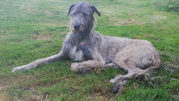 Die Augen sind der Spiegel der Seele sagt man…  